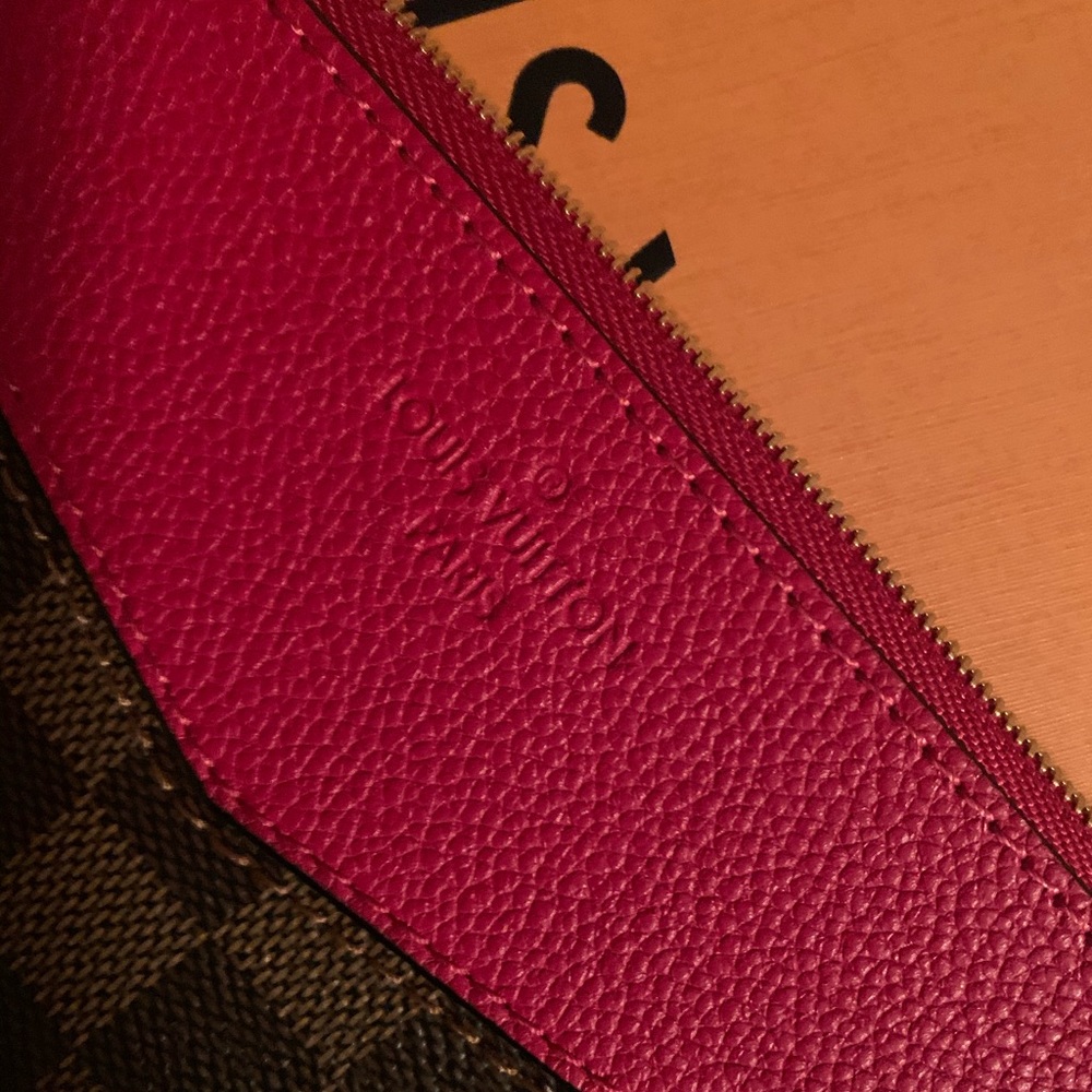 LOUIS VUITTON DAILY POUCH